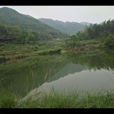 屋後有水池|【屋後有水池風水】屋後有水池風水大揭密，小心影響婚姻和運勢！